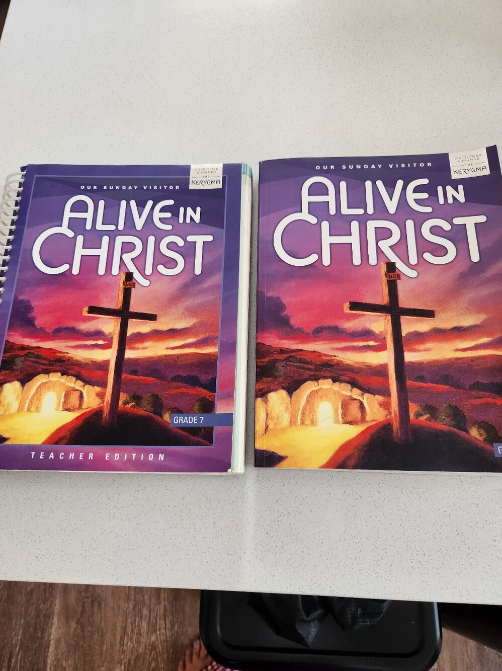 Alive in Christ Grade 7 Curriculum Book - Purple Cover In Great Condition